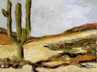 14x18desert01