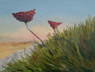 22x28_desertWildflowers