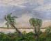 11x14_palmCoast