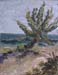 14x18c_oceanPalm01