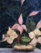 14x18c_stillFlowers