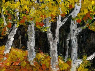 12x16_fallAspens00