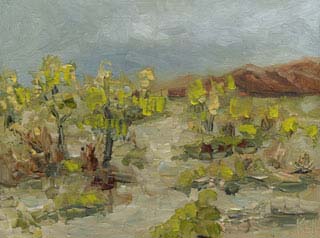12x16_southwestDesert00