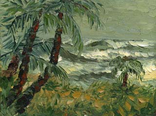 12x16_windyHawaii