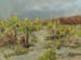 12x16_southwestDesert00