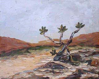 16x20sc_desert01