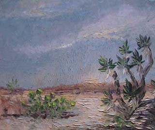 20x24c_desert01