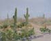16x20_desertTrail00