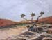 16x20sc_desert01