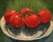 16x20sc_vineTomatoes01