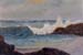 24x36sc_calcoast01