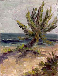 14x18fla