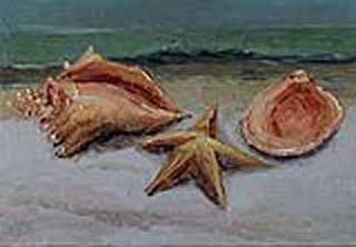 16x20shells01