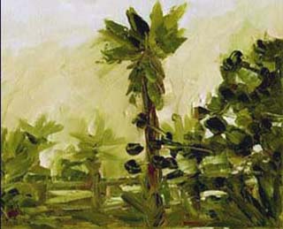 8x10indialantic01