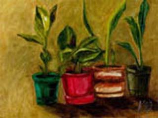 plants