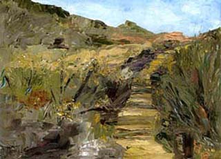 torreypines00