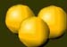112202oranges