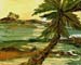 11x14beachpalm01