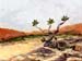 16x20desert01