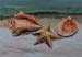 16x20shells01