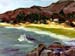 beachcolony