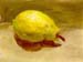 pear01c
