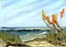 seascape01a