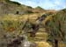 torreypines00