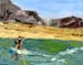 wakeboard04