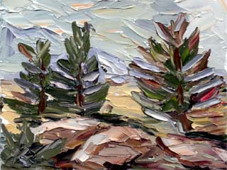 6x8desertpines01