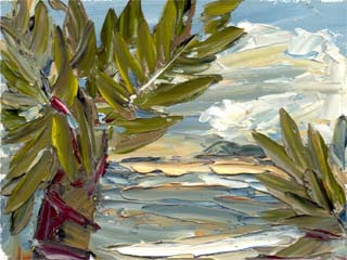 6x8palmtree