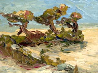 9x12montereycoast01