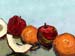 16x20AppleNOranges