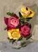 6x8flowers01