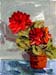 6x8geranium