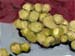 6x8grapes01