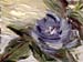 6x8purplerose