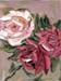 6x8roses01
