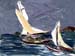 6x8sailrace01
