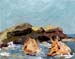 8x10seashells