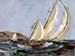 9x12downwindsail