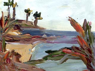 12x16calcoast03