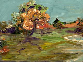 12x16orangetree