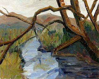16x20arizonawild