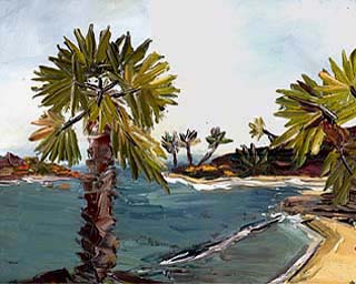 16x20lagunabeach