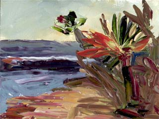6x8laguna01