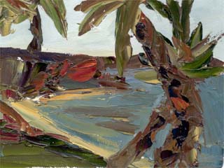 6x8laguna02