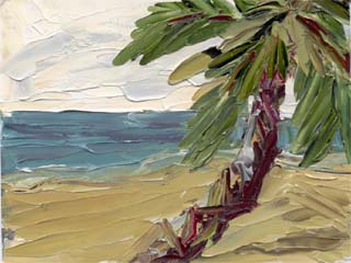 6x8palmtree01