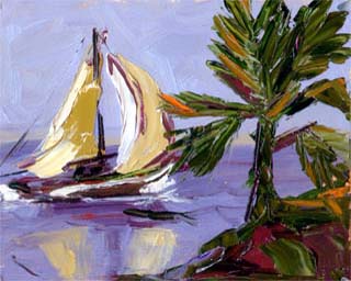 8x10sailpalm