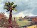 6x8beachpalm01